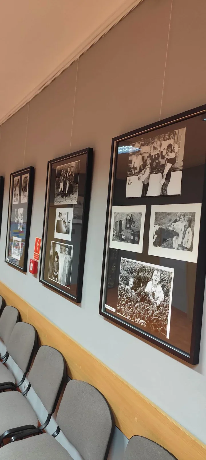 Grafika promocyjna wydarzenia Wystawa fotografii „Wolniej. Analogowo”