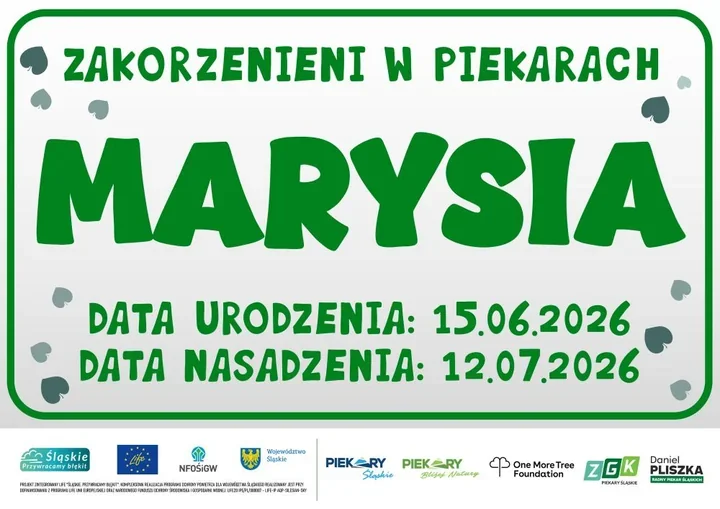Imienne drzewka dla dzieci w Piekarach Śląskich. Jesienią ruszą nasadzenia