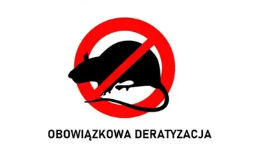 Deratyzacja w Piekarach Śląskich nie jest opcją. Miasto przypomina o obowiązku