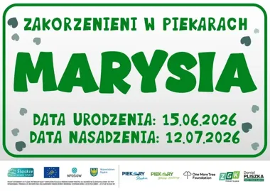 Imienne drzewka dla dzieci w Piekarach Śląskich. Jesienią ruszą nasadzenia