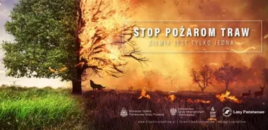 Wiosenny ogień na trawach potrafi zamienić się w pożar w kilka minut