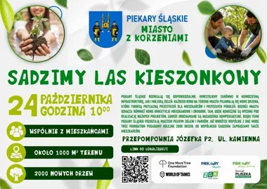Około 2000 drzew w 1000 m². Przy Kamiennej powstanie las kieszonkowy