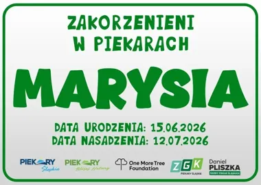 Drzewka z imionami dzieci w Piekarach – rodzinny ślad w zieleni