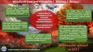 Wypalanie traw może skończyć się pożarem i karą do 10 lat